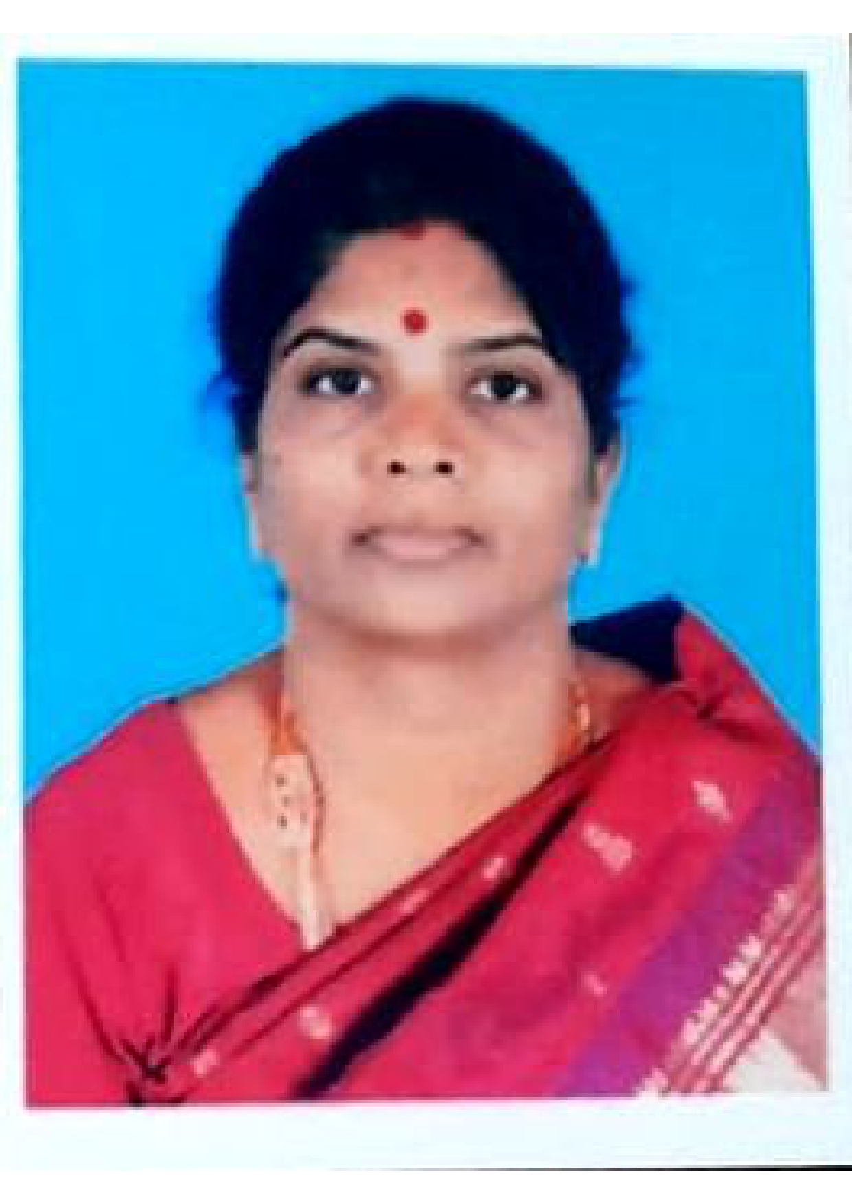 Joint Secretary